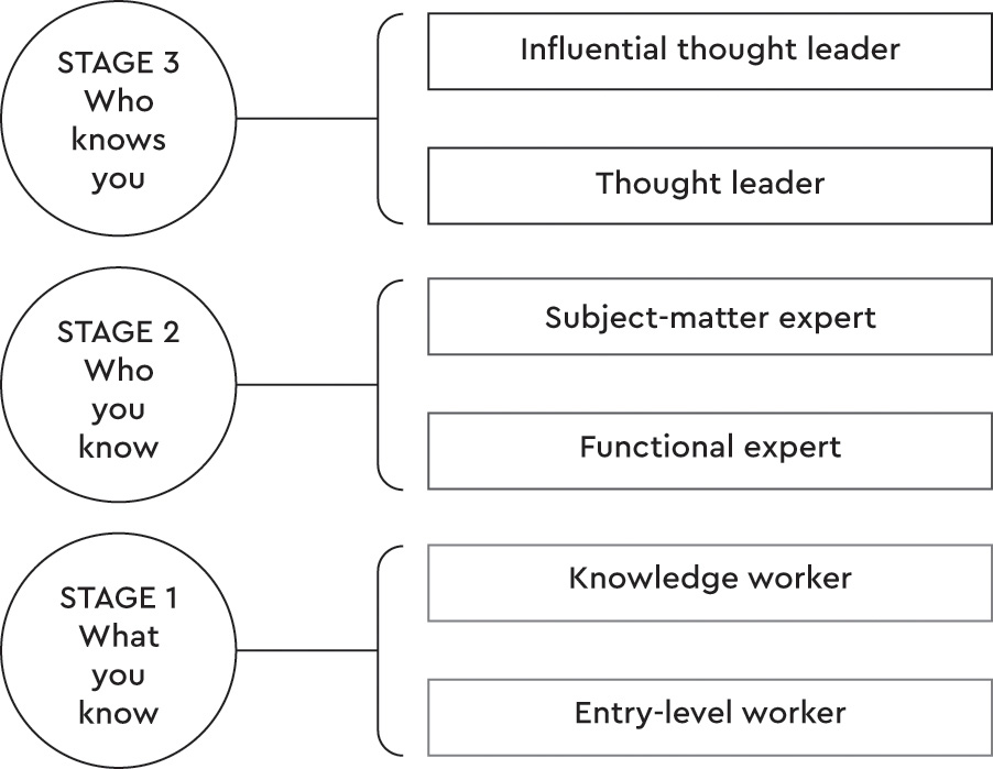 A career progression ladder