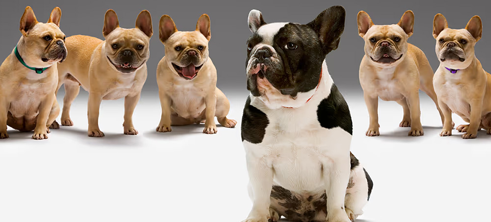 What to Do When You Become Your Friend’s Boss What to Do When You Become Your Friend’s Boss