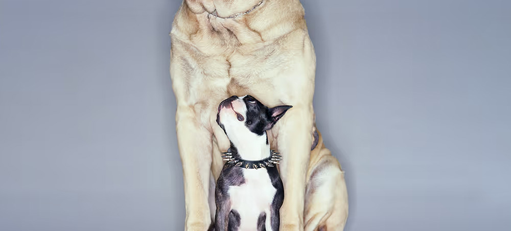 What’s the Right Way to Find a Mentor? What’s the Right Way to Find a Mentor?