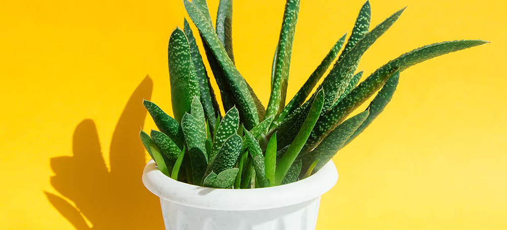 There’s No “Right” Way to Do Self-Care