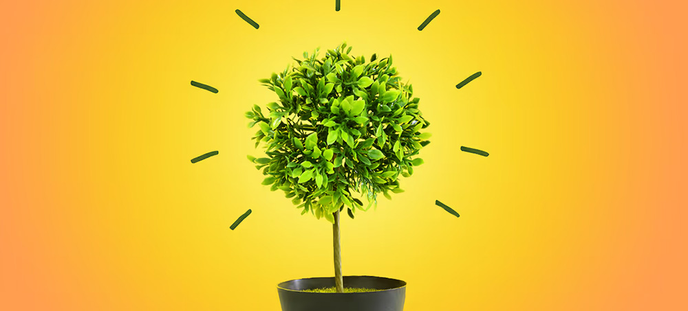 You Don’t Have to Become the Boss to Grow in Your Career