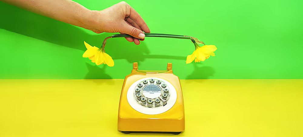 The Hazards of a “Nice” Company Culture The Hazards of a “Nice” Company Culture