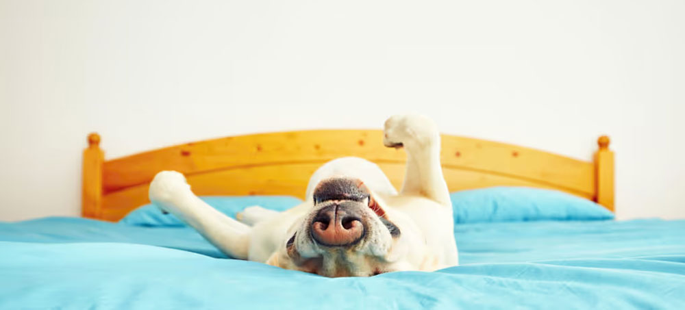 Staying Motivated When Everyone Else Is on Vacation