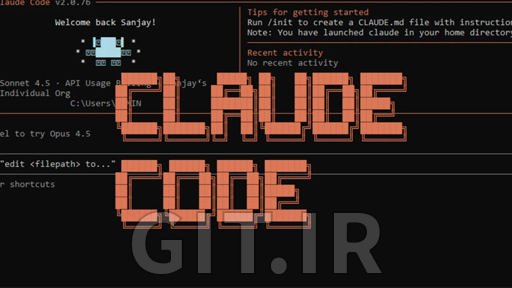 Claude Code for Professional Developers